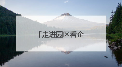 走进园区看企业｜湖南江华：“小电机”撬动“大产业”